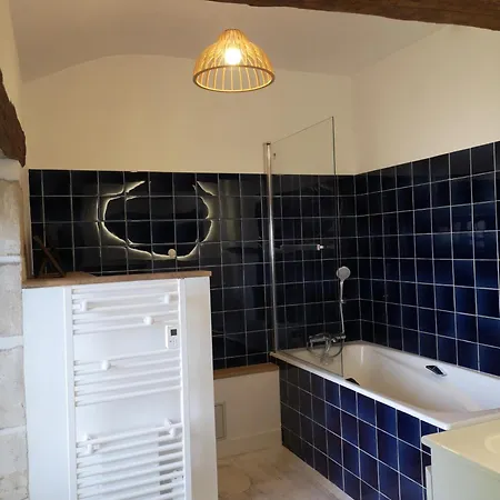 Le Repaire Du Clain 4 Etoiles Pour 14 Personnes Avec Piscine Proche Du Futuroscope Chasseneuil-du-Poitou