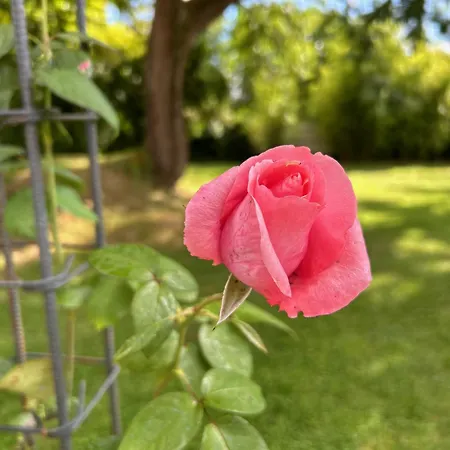 Le Repaire Du Clain 4 Etoiles Pour 14 Personnes Avec Piscine Proche Du Futuroscope Chasseneuil-du-Poitou
